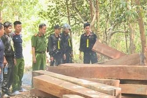 Phê chuẩn khởi tố, bắt tạm giam 4 cán bộ công ty lâm nghiệp Ea Kar