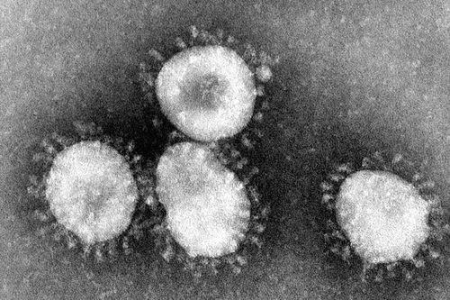WHO theo dõi chặt chẽ virus corona mới sau khi phát hiện tại Thái Lan