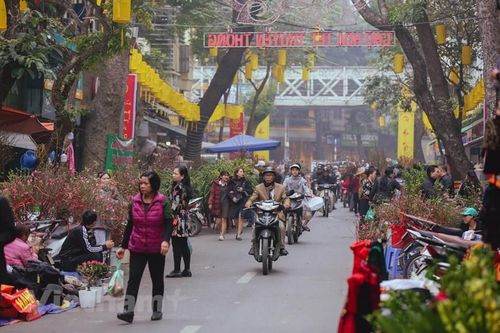 Rực rỡ sắc màu chợ hoa truyền thống trên phố cổ Hà thành