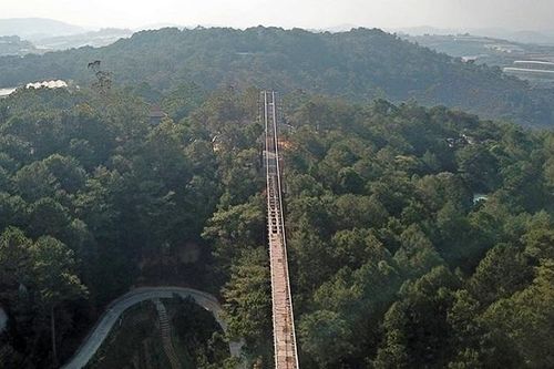 Đình chỉ thi công công trình cầu đáy kính 7D tại Thung lũng tình yêu Đà Lạt