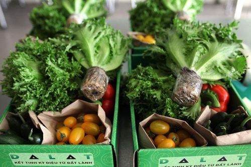 Chọn rau xanh thay bia, rượu làm quà tết