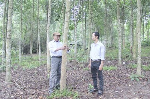 Hướng Hóa chú trọng phát triển Đảng trong đồng bào dân tộc thiểu số
