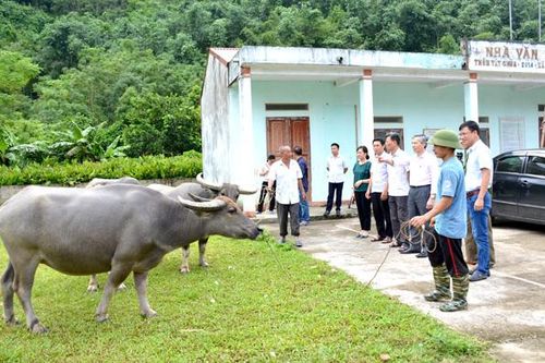 Khoa học và công nghệ tạo động lực phát triển
