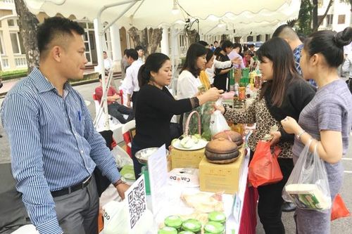 Sản xuất theo chuỗi giá trị, doanh thu các hợp tác xã tăng 15 - 20%