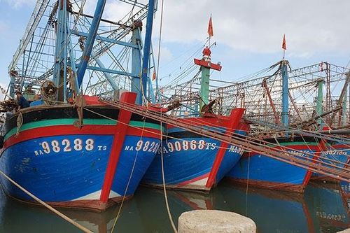 Sớm bán bảo hiểm cho ngư dân Hoàng Mai