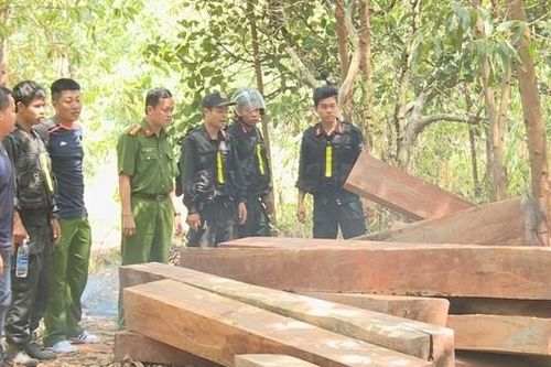 Để rừng tan hoang, 4 cán bộ công ty lâm nghiệp bị bắt