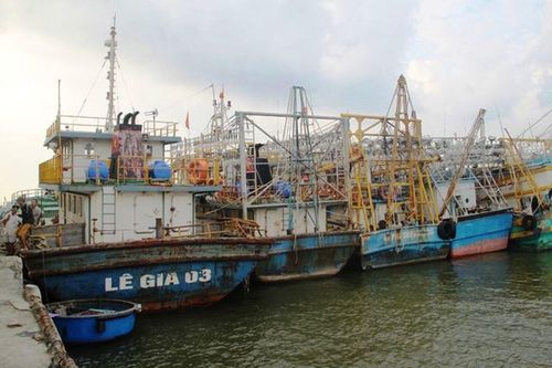 Tàu cá nằm bờ thoi thóp, Bình Định báo cáo Thủ tướng