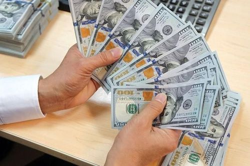 Việt Nam vẫn bị Mỹ giám sát thao túng tiền tệ dù chỉ còn 'vướng' 1 tiêu chí