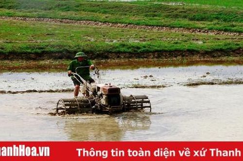 Nâng cao chất lượng dịch vụ sản xuất nông nghiệp