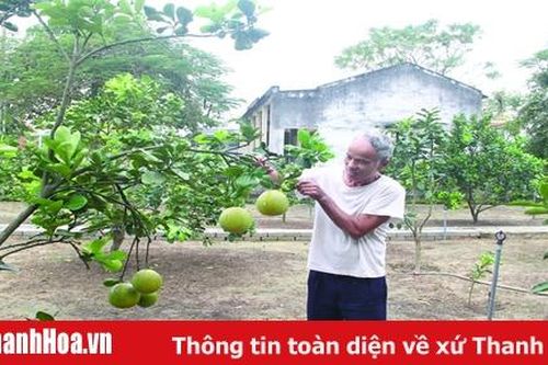 Tiêu chí 'Vườn hộ' trong xây dựng xã nông thôn mới nâng cao: Thay đổi tư duy, khơi dậy tiềm năng quỹ đất
