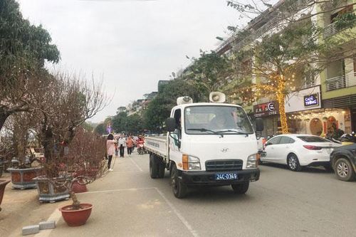 Đảm bảo an toàn giao thông, an ninh khu vực tổ chức chợ hoa Xuân Canh Tý 2020