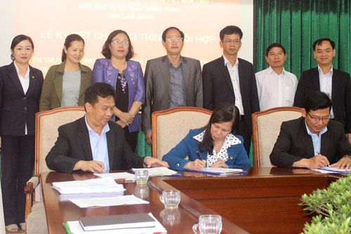 Nhiều kết quả nổi bật trong thi đua khối Mặt trận đoàn thể