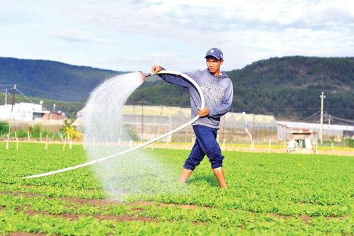 Nhịp sống bên dòng sông xanh