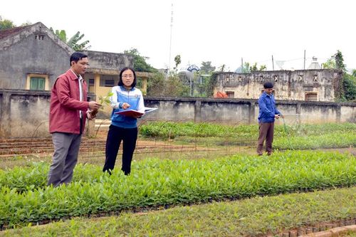 Chiêm Hóa chuẩn bị các điều kiện trồng rừng vụ xuân
