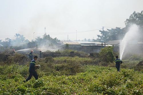 Cháy đồng cỏ khiến người dân hoảng loạn