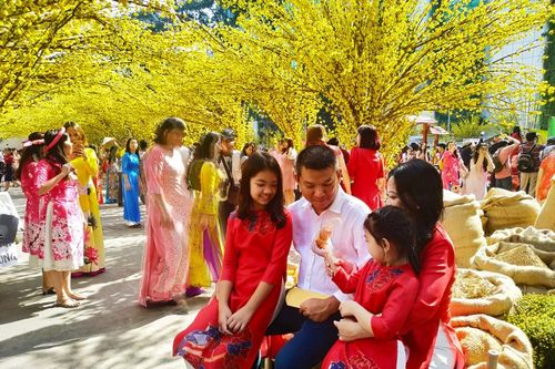 Rực rỡ đường mai và phố ông Đồ tại thành phố Hồ Chí Minh