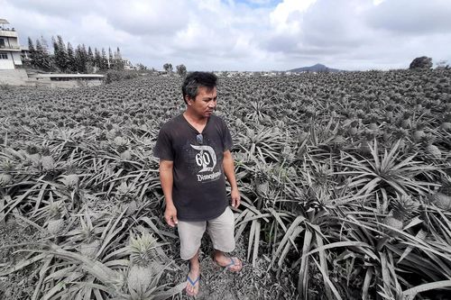 Núi lửa phun trào nhấn chìm đảo của Philippines trong biển tro bụi
