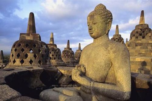 10 loài vật tuyệt đối không được sát hại nếu không phải chịu quả báo nghiệt ngã