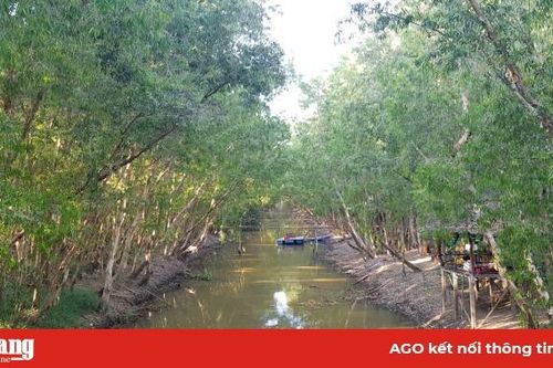 Tập trung ứng phó hạn, mặn