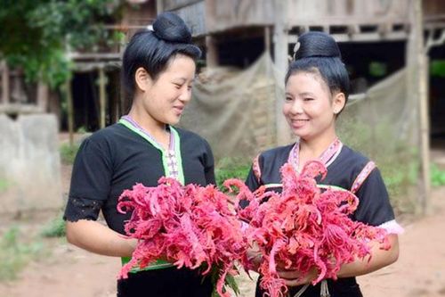 Như một khát vọng sống
