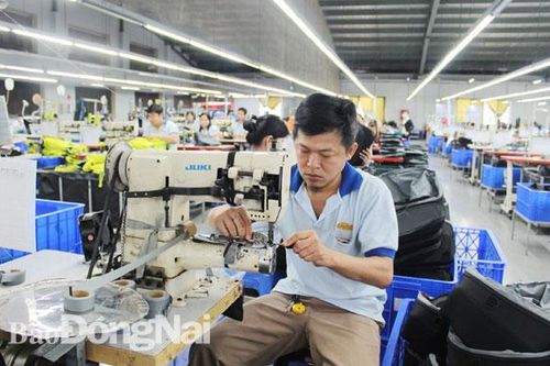 Xử lý nghiêm doanh nghiệp cố tình trốn thuế
