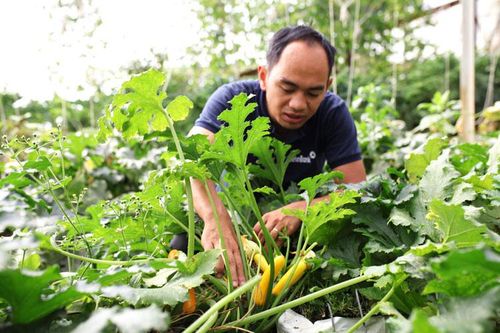 Nông sản sạch Lâm Đồng 'cháy hàng' dịp tết
