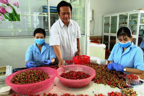 Công nhận Công ty TNHH Phúc bồn tử Huỳnh Trung Quân ứng dụng công nghệ cao