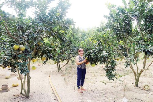 Vượt khó thoát nghèo, làm giàu tại quê hương