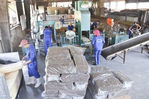Vĩnh Linh - Dấu ấn 30 năm xây dựng và phát triển
