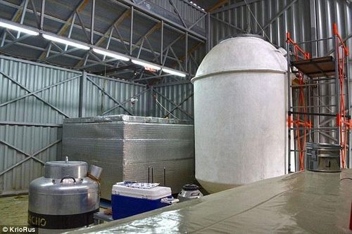 Nga đông lạnh não và thi thể người chờ hồi sinh