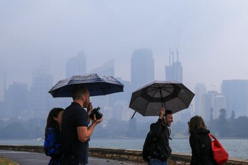Sydney đón 'cơn mưa vàng' sau nhiều tháng cháy rừng
