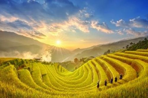 Huyện Mù Cang Chải: Tạo dựng thương hiệu từ chiến lược du lịch xanh
