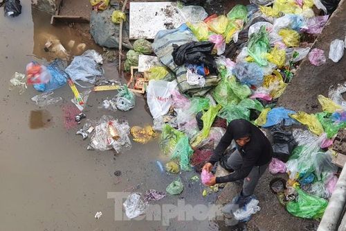 Sông ở Hải Phòng 'bội thực' rác sau khi đưa ông Táo về trời