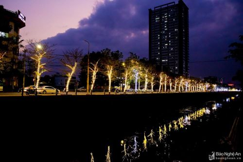 Thành Vinh lung linh những đường hoa đón Tết