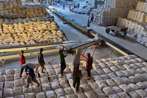 Cơ hội xuất khẩu gạo vào thị trường Hàn Quốc từ hạn ngạch thuế quan