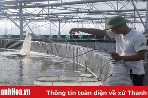 Huyện Nga Sơn phát triển nuôi trồng thủy sản theo hướng công nghệ cao