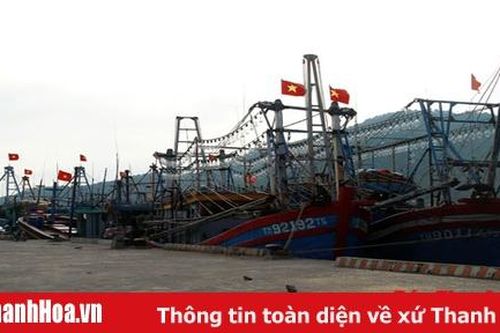 Tăng cường đầu tư kết cấu hạ tầng nghề cá