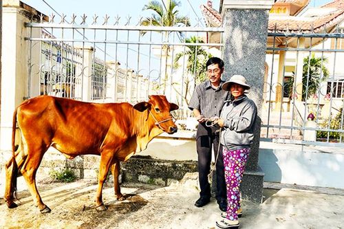 Trao tặng bò giống cho hộ nghèo tại xã Ninh Xuân