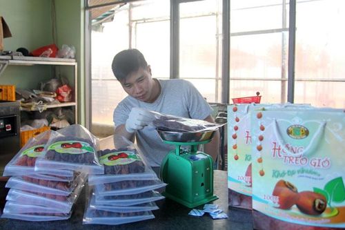 HTX Trường Gia Phát cung ứng ra thị trường tết 3 tấn hồng sấy gió