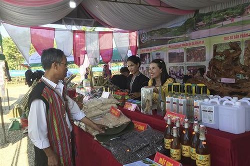 Hội Nông dân tỉnh Quảng Trị đẩy mạnh phong trào thi đua yêu nước, chào mừng kỉ niệm những ngày lễ lớn và đại hội đảng các cấp