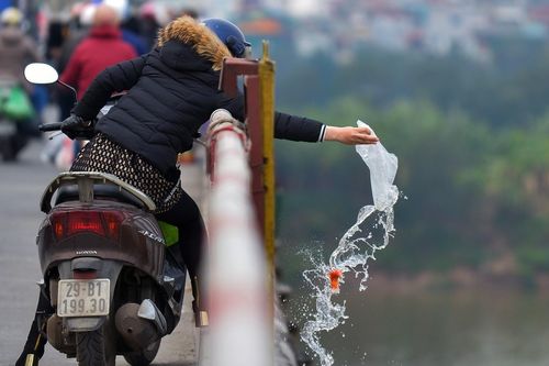 Dân mạng chế ảnh ngày thả cá chép tiễn ông Táo về trời