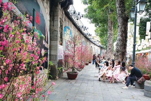 Chợ hoa Tết Hàng Lược