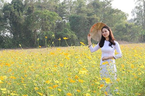 Nơi lý tưởng tham quan, chụp ảnh dịp Tết Nguyên đán 2020