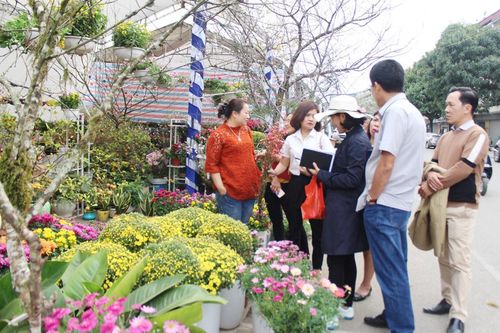Rộn ràng chợ hoa Xuân nơi biên cương