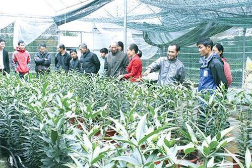 Hướng Hóa, một vòng...hoa