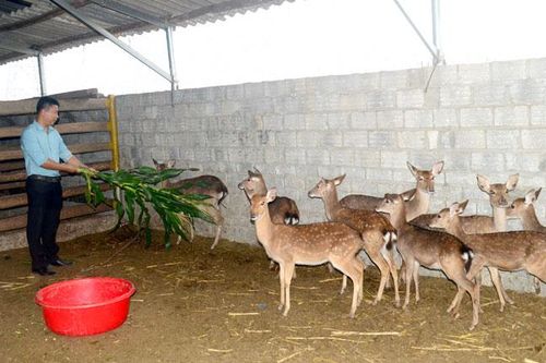 Yêu nghề, nghề để của cho…