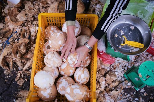 Thu về 30-50 triệu mỗi ngày từ bán dừa làm mứt