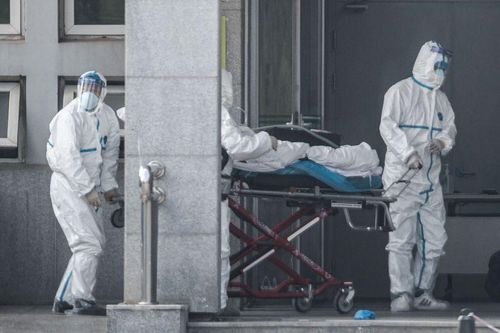 Số nạn nhân virus cúm lạ ở TQ có thể lớn hơn nhiều so với báo cáo
