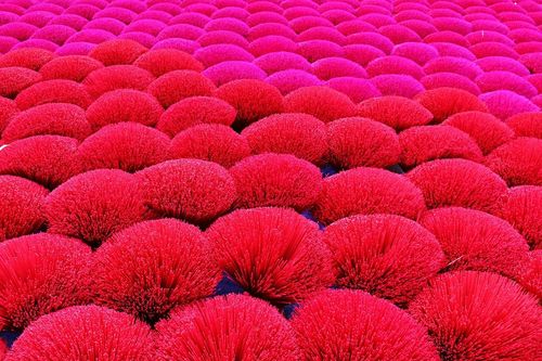 Làng tăm hương duy nhất còn lại ở Hà Nội hối hả trước Tết