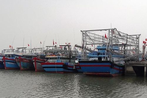 Kiểm tra phản ánh chậm bán bảo hiểm tàu cá